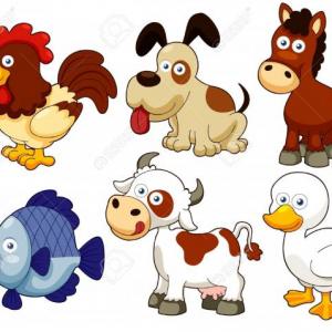 Adivina los tipos de animales