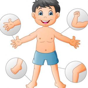 memorama del cuerpo humano- encuentra los pares