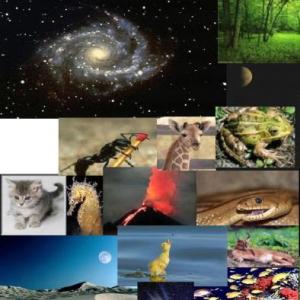 Ciencias naturales