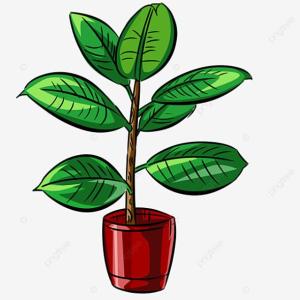 Reproducción de las plantas