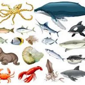 animales grandes