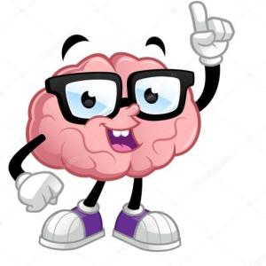 el cerebro humano