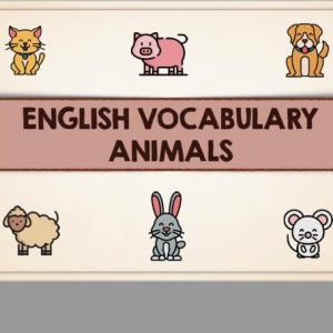 MEMORY ANIMALS
