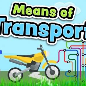 Means of Transport 