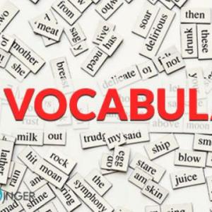 Imagen de portada del videojuego educativo: Vocabulary 1, de la temática Idiomas