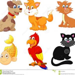 Animales domésticos