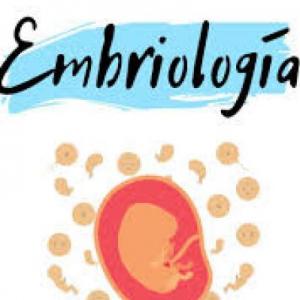 Trivia de embriologica 2