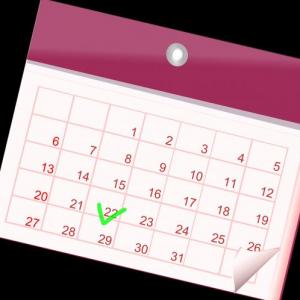 How often do you study English?