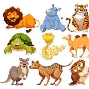 encontrar los animales