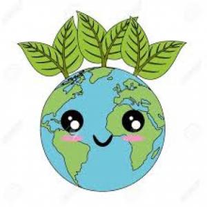 TIPOS DE PLANTAS 
