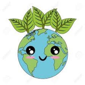 TIPOS DE PLANTAS 