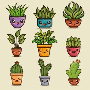 Plantas