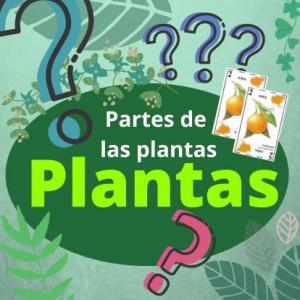 El Gran Prix de las partes de las plantas