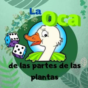 La oca de las partes de las plantas