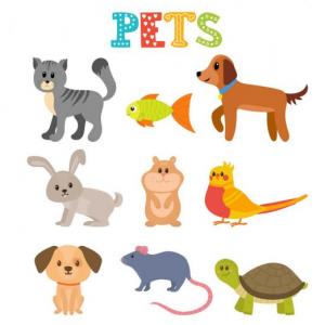 animales domésticos