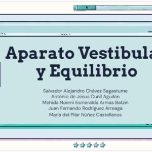 Aparato vestibular y equilibrio