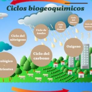 CICLOS BIOGEOQUÍMICOS