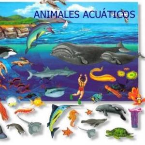 Animales acuáticos y su clasificación.
