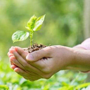MEDIO AMBIENTE