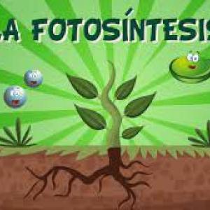 LO HERMOSO DE LAS PLANTAS (Docente. Ali Mendoza)