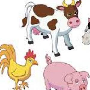 Imagen de portada del videojuego educativo: FARM ANIMALS, de la temática Lengua
