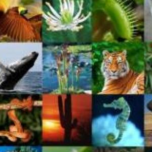 biodiversidad