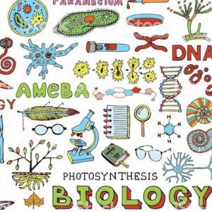Didáctica de la biología