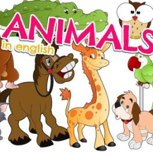 ANIMALS