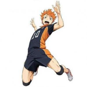 Imagen de portada del videojuego educativo: Cuestionario de voleibol, de la temática Deportes