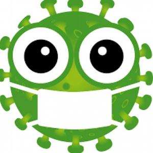 El coronavirus