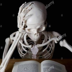HUESOS DEL CUERPO HUMANO