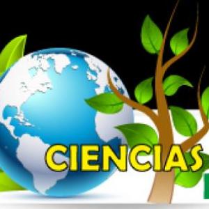 Refuerzo Unidad N°2
