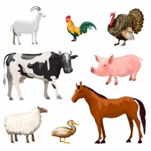 animales de granja