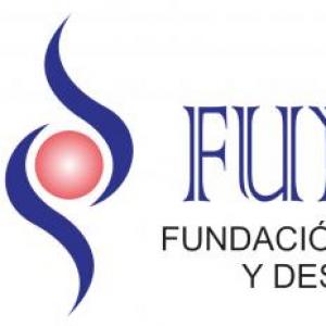 JUEGO DE MEMORIA FEUD