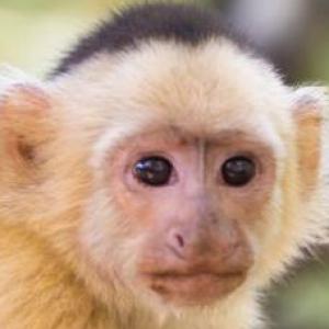 ¡Demostra tu conocimiento! Parte 2