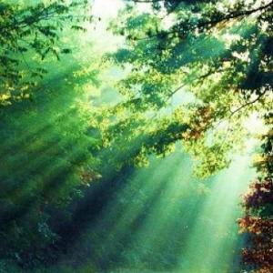 La belleza de la naturaleza de la Tierra