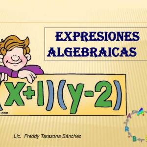 EXPRESIONES ALGEBRAICAS 