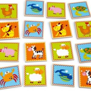 memoria de animales