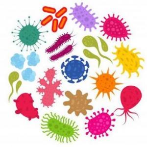 Imagen de portada del videojuego educativo: Estructura de las Bacterias, de la temática Ciencias