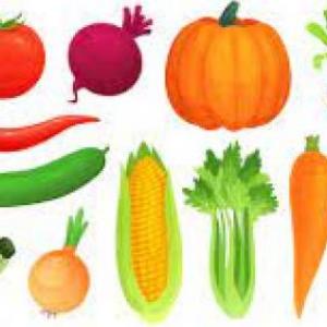 memoria con verduras