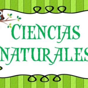 Maravilla del cuerpo humano
