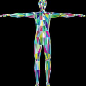 Maravilla del cuerpo humano