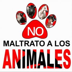 No al maltrato animal