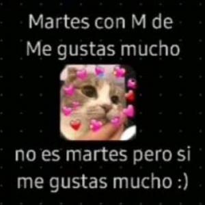 tkm 