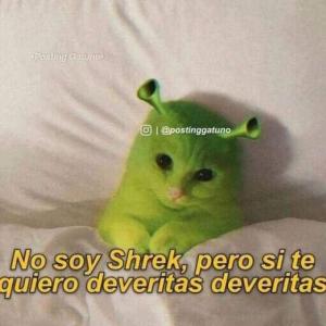 te quero mas que ayer