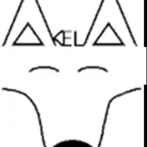 NORMA ANDRADE AKELA 517 VNE