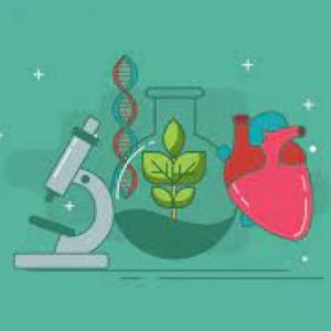 Preguntas de Biología