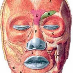 VALORACIÓN DEL ROSTRO Y CUELLO