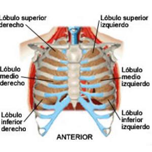 VALORACIÓN FÍSICA DEL TÓRAX