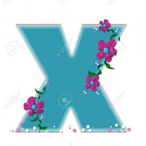 LA LETRA X